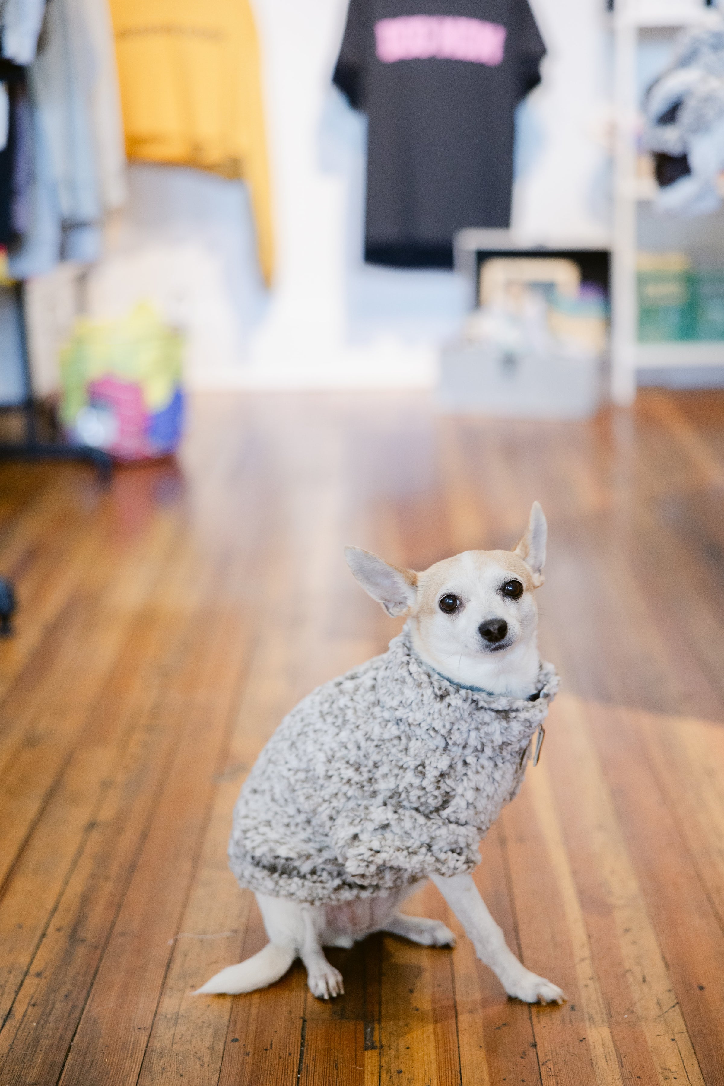 The Worthy Dog Quarter Zip Wubby Fleece Pullover Bella Lindy