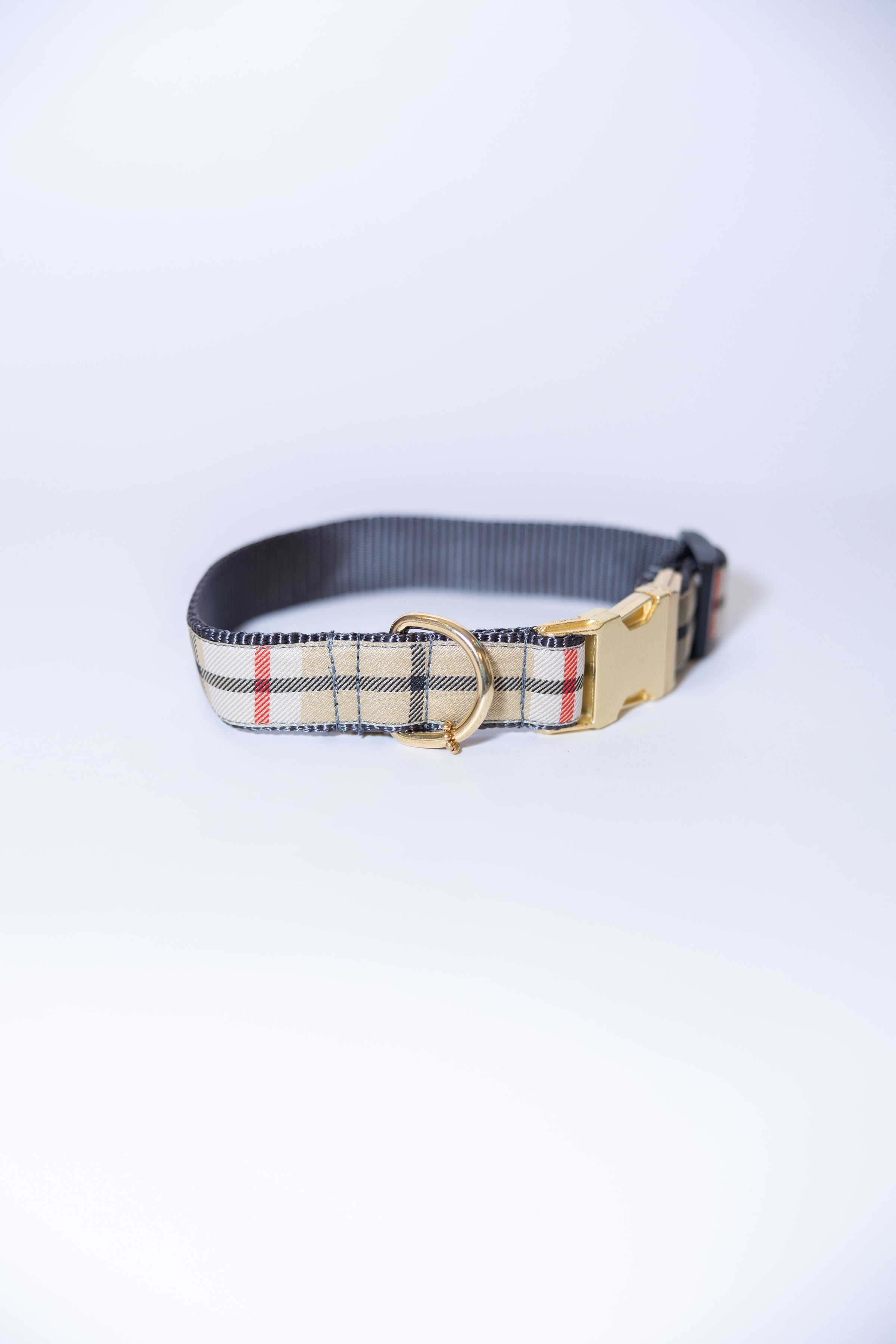 burberry dog collar